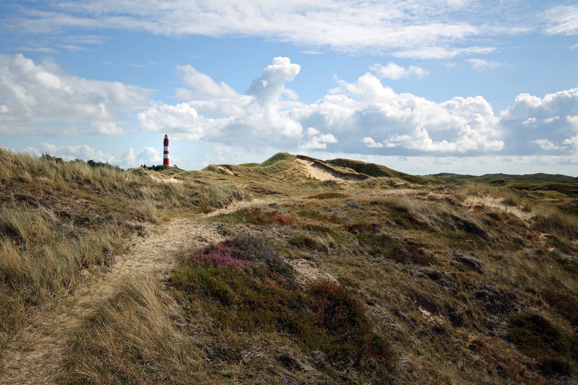 Campingplatz Amrum