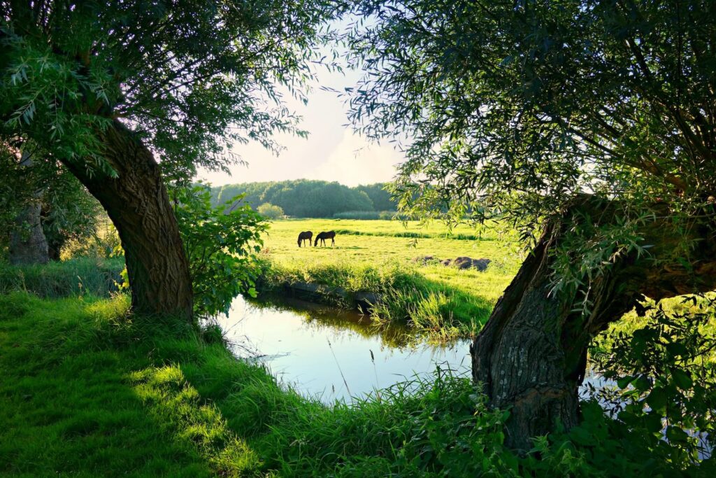 Campingplatz Renesse