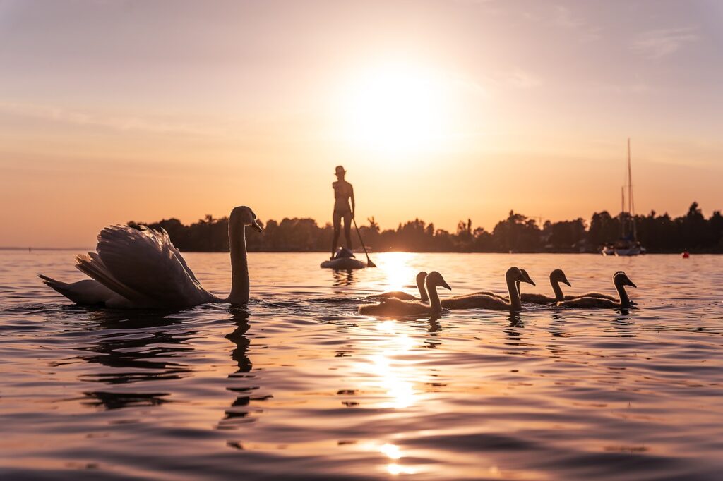 Bodensee_Campingplatz