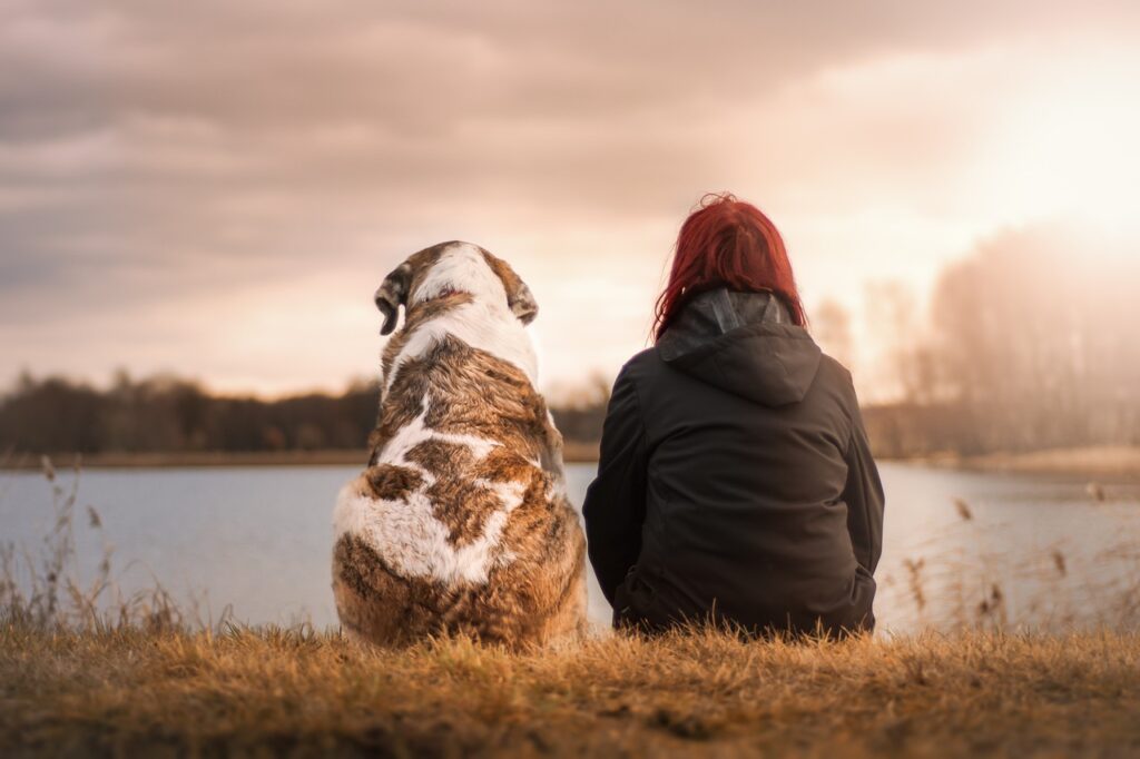 Campingplatz Eifel Hunde