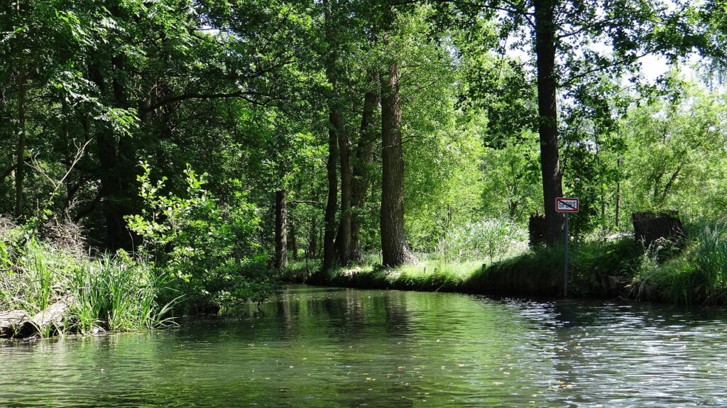 Spreewald