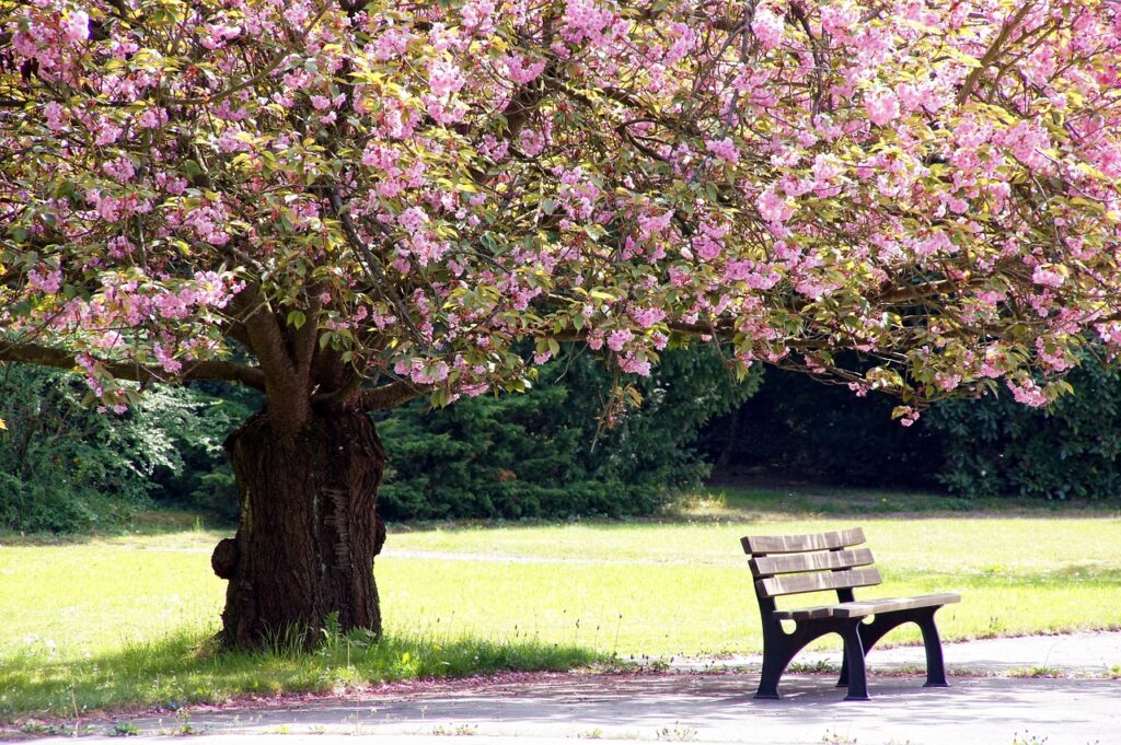 campingplatz_leipzig_Park