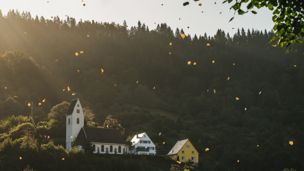 fkk-camping baden-württemberg haus wald blätter