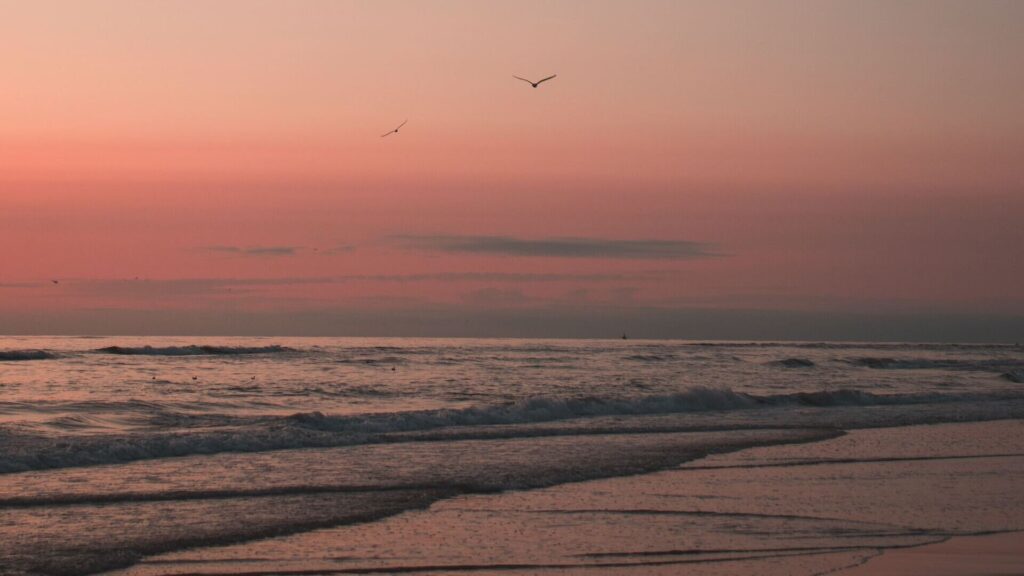 campingplatz holland am meer strand2