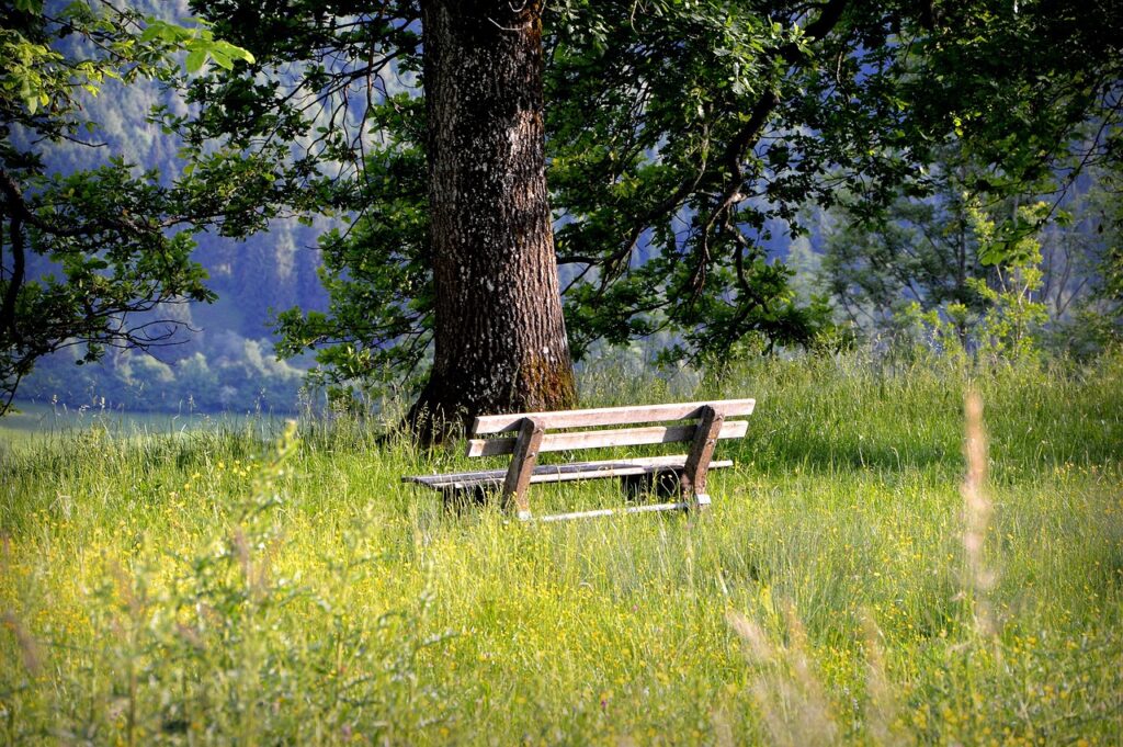 Campingplatz Allgäu