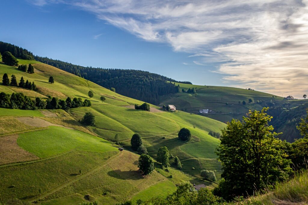 Campingplatz Schwarzwald