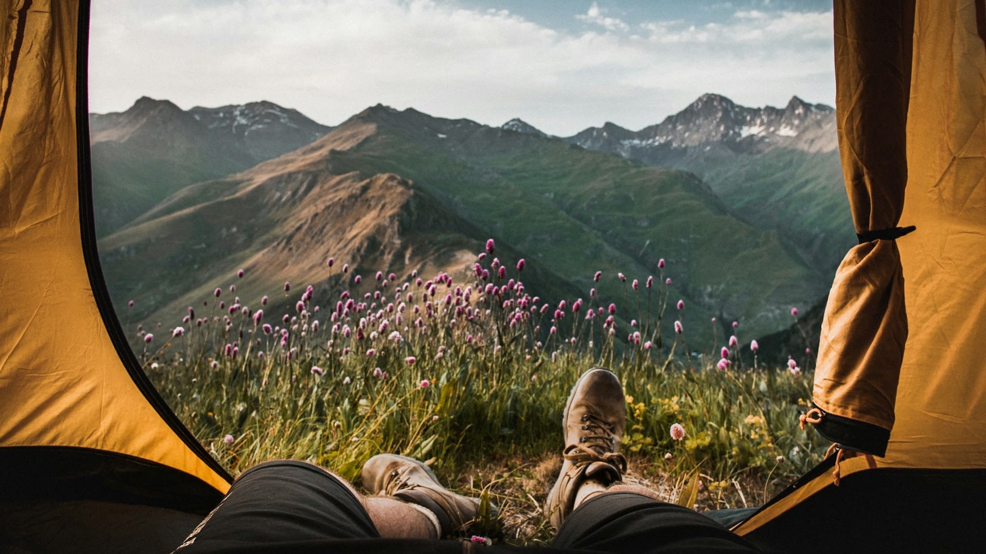 Camping Ausblick aus dem Zelt - Titelbild