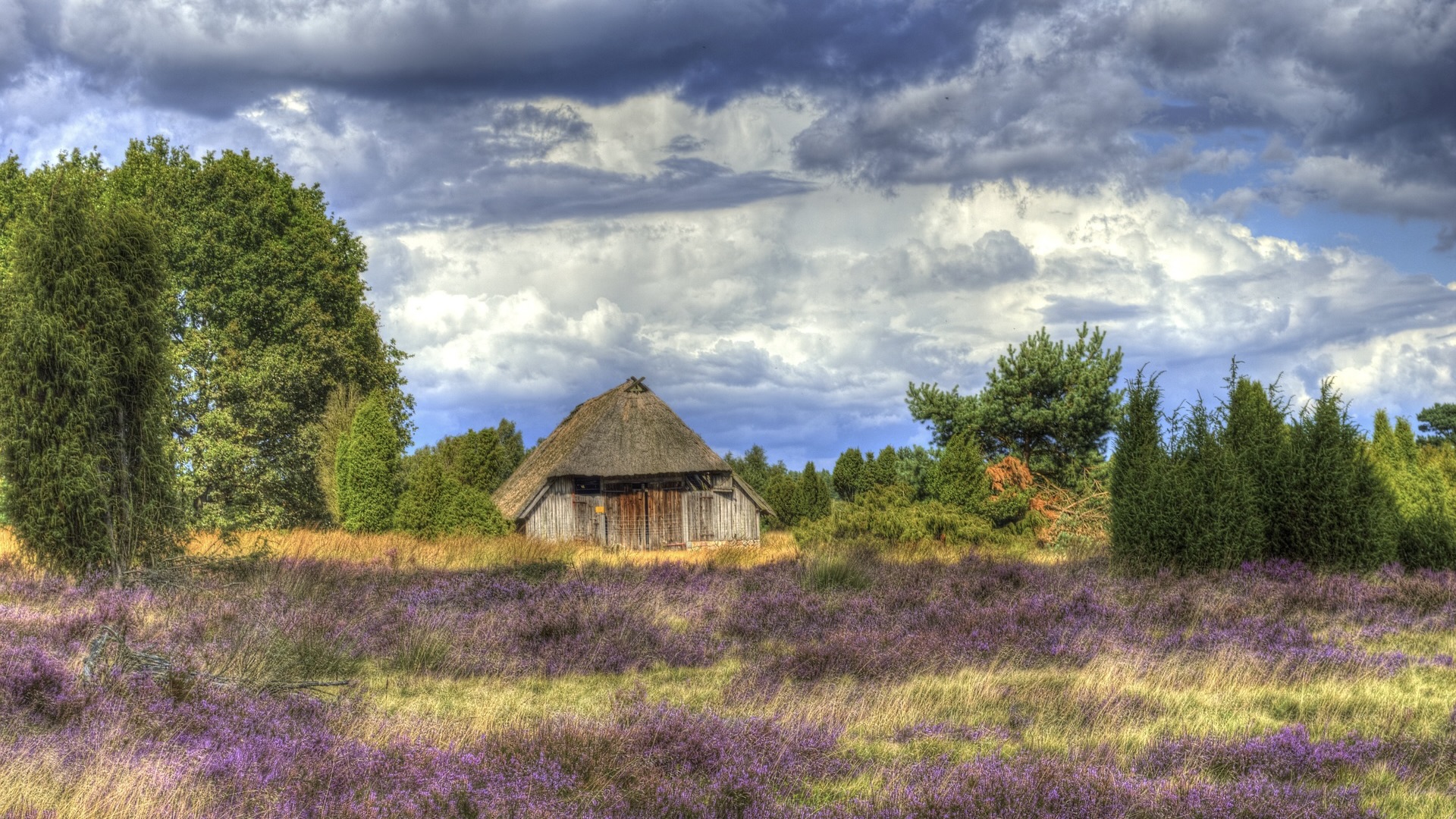 Campingplatz_Familie_Heide