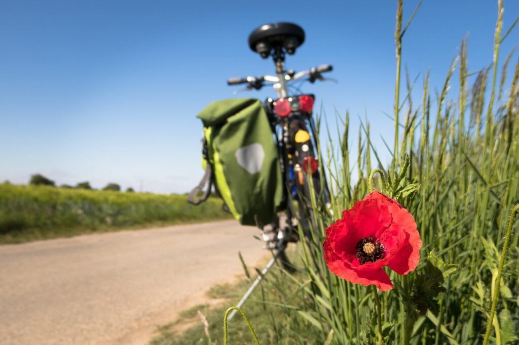 Campingplatz_Sanssouci