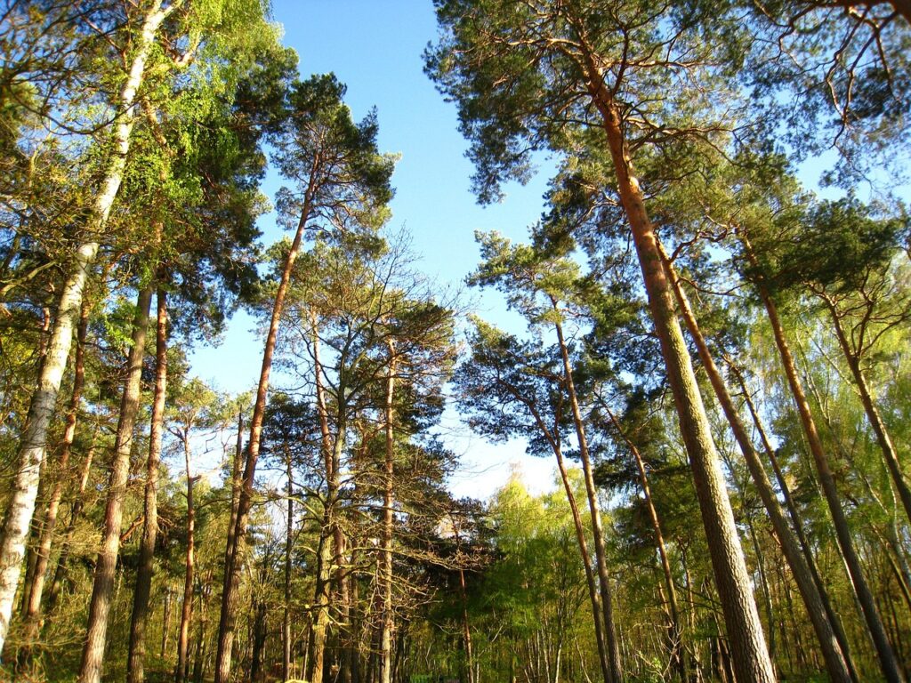 Campingplatz_Wusterhausen