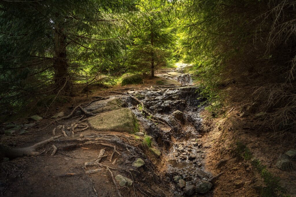 Campingplatz_Harz_Das_Kreuzeck