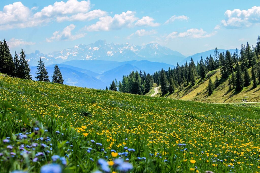 Campingplatz_Seewang