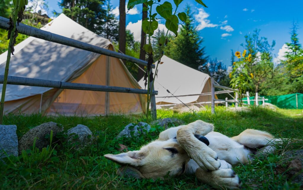 Campingplatz Mardorf