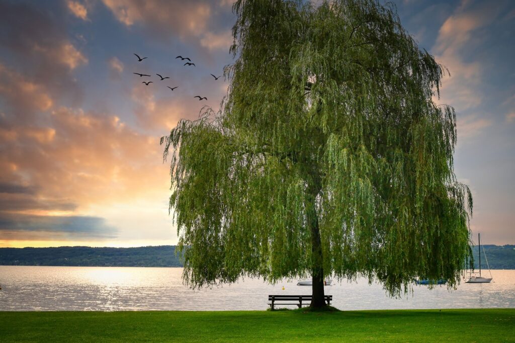 Campingplatz Ammersee