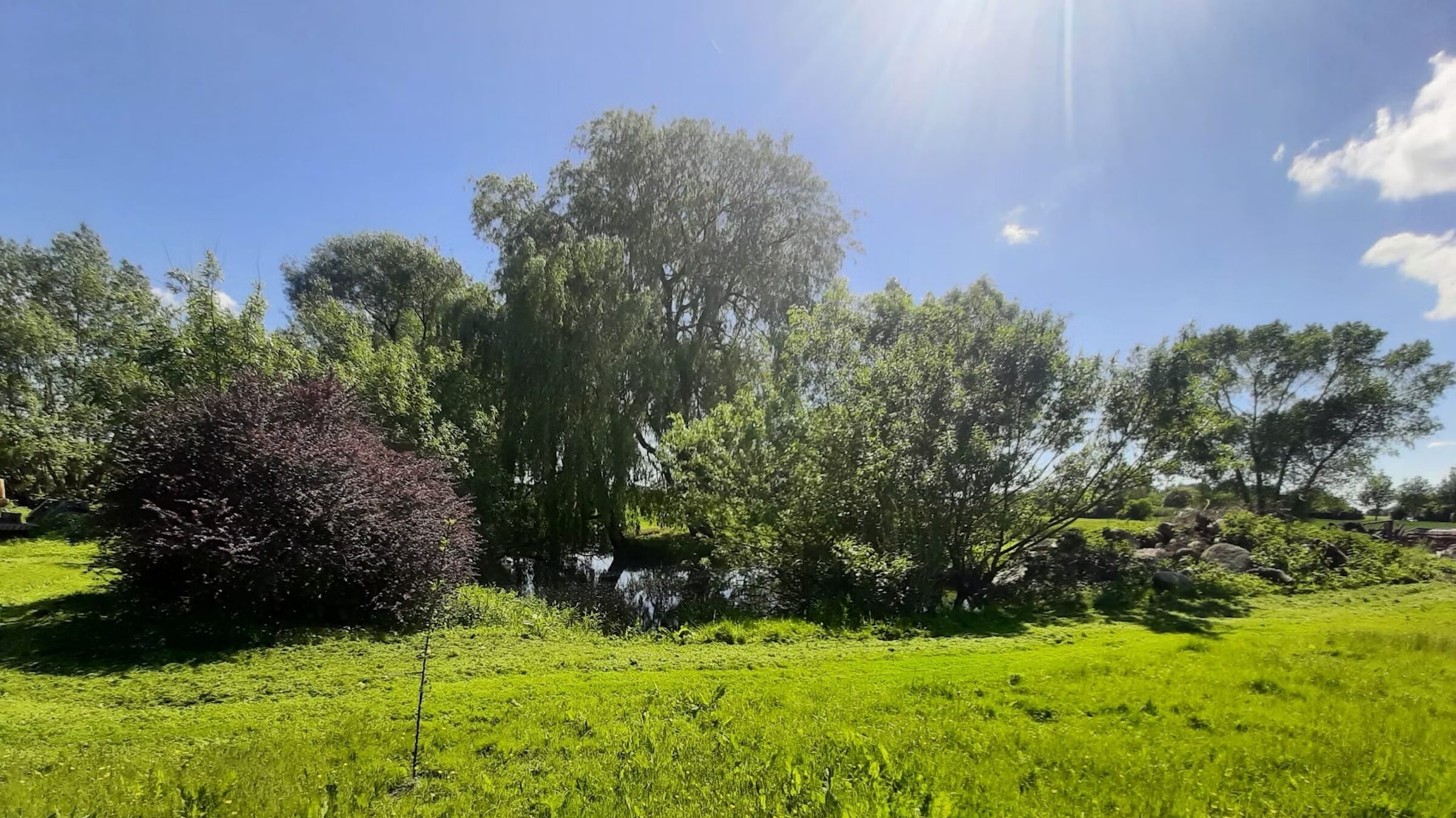 Campen auf dem Bauernhof am Teich