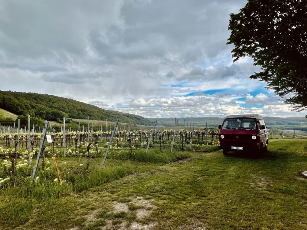 Stellplatz am Weinberg